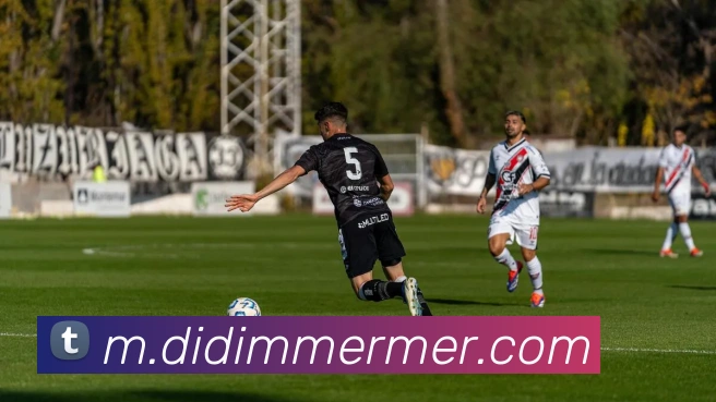 多彩内容专区